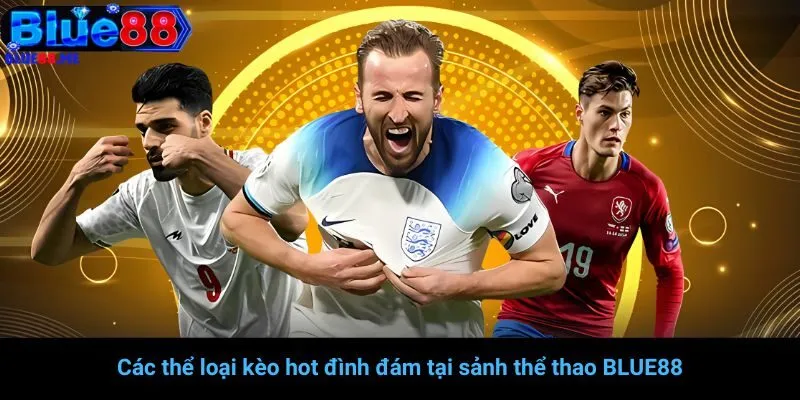 Các thể loại kèo hot đình đám tại sảnh thể thao BLUE88