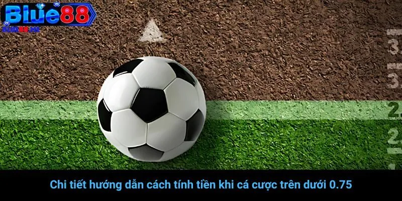Chi tiết hướng dẫn cách tính tiền khi cá cược trên dưới 0.75
