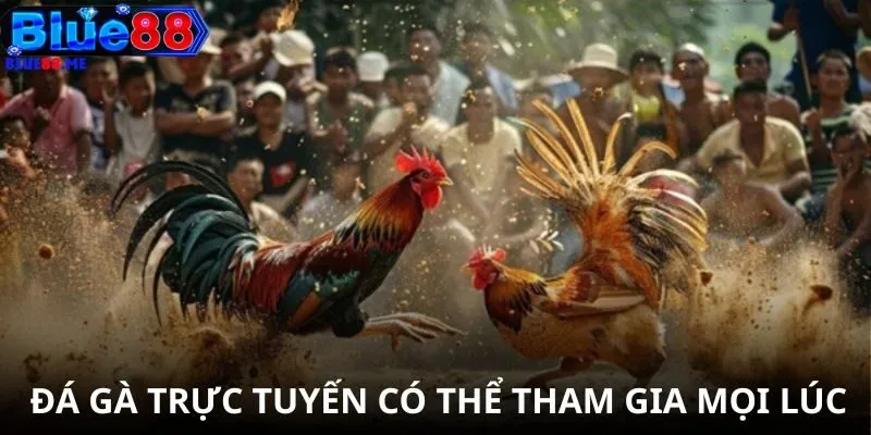 Đá gà trực tuyến có thể tham gia mọi lúc