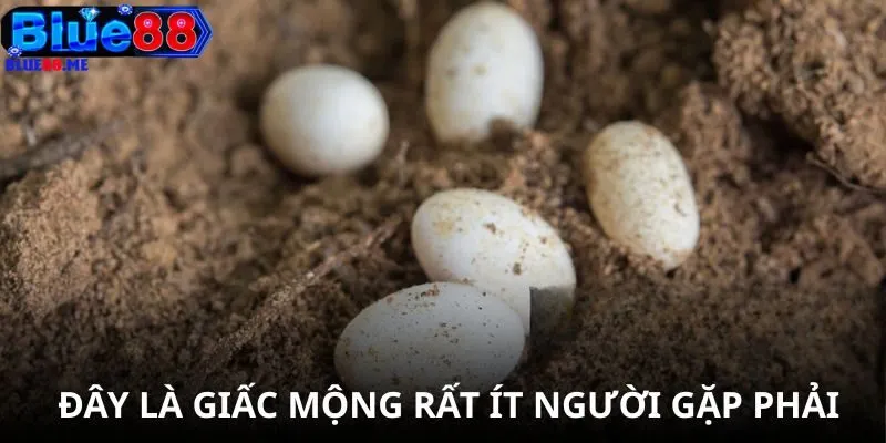 Đây là giấc mộng rất ít người gặp phải 