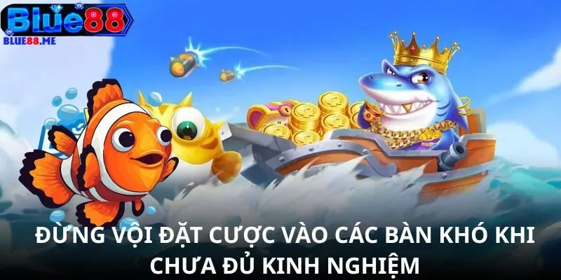 Đừng vội đặt cược vào các bàn khó khi chưa đủ kinh nghiệm