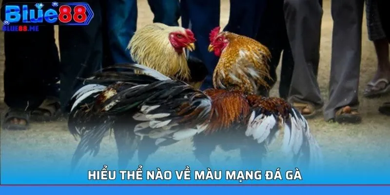 Hiểu thể nào về màu mạng đá gà