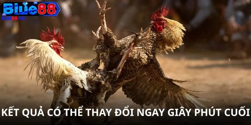 Kết quả có thể thay đổi ngay giây phút cuối