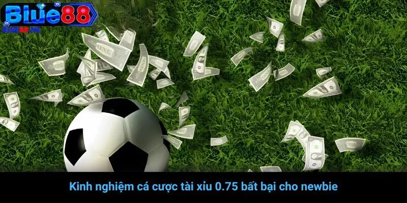 Kinh nghiệm cá cược tài xỉu 0.75 bất bại cho newbie