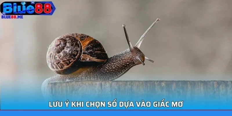 Lưu ý khi chọn số dựa vào giấc mơ