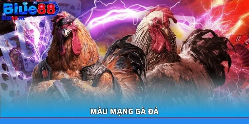 Màu mạng gà đá