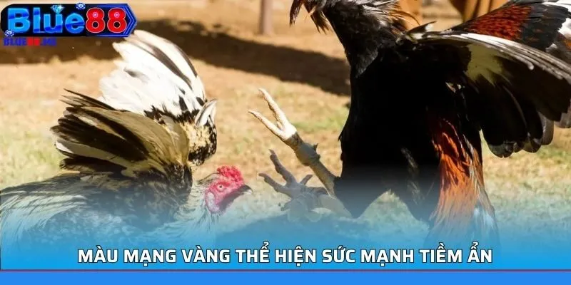 Màu mạng vàng thể hiện sức mạnh tiềm ẩn