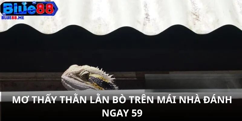Mơ thấy thằn lằn bò trên mái nhà đánh ngay 59