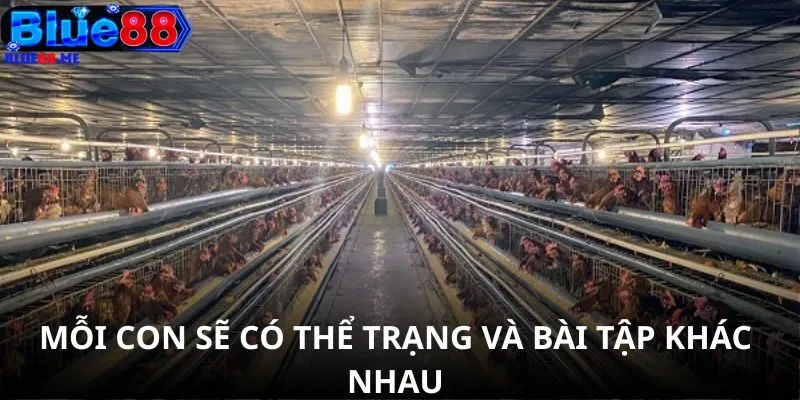 Mỗi con sẽ có thể trạng và bài tập khác nhau