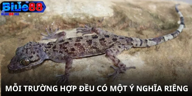 Mỗi trường hợp đều có một ý nghĩa riêng