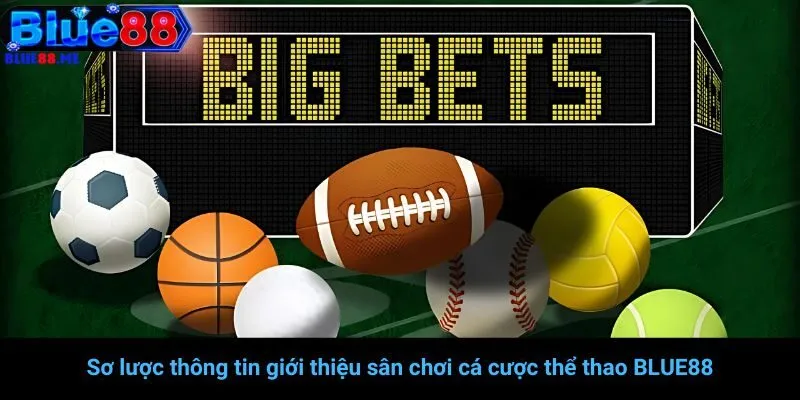 Sơ lược thông tin giới thiệu sân chơi cá cược thể thao BLUE88